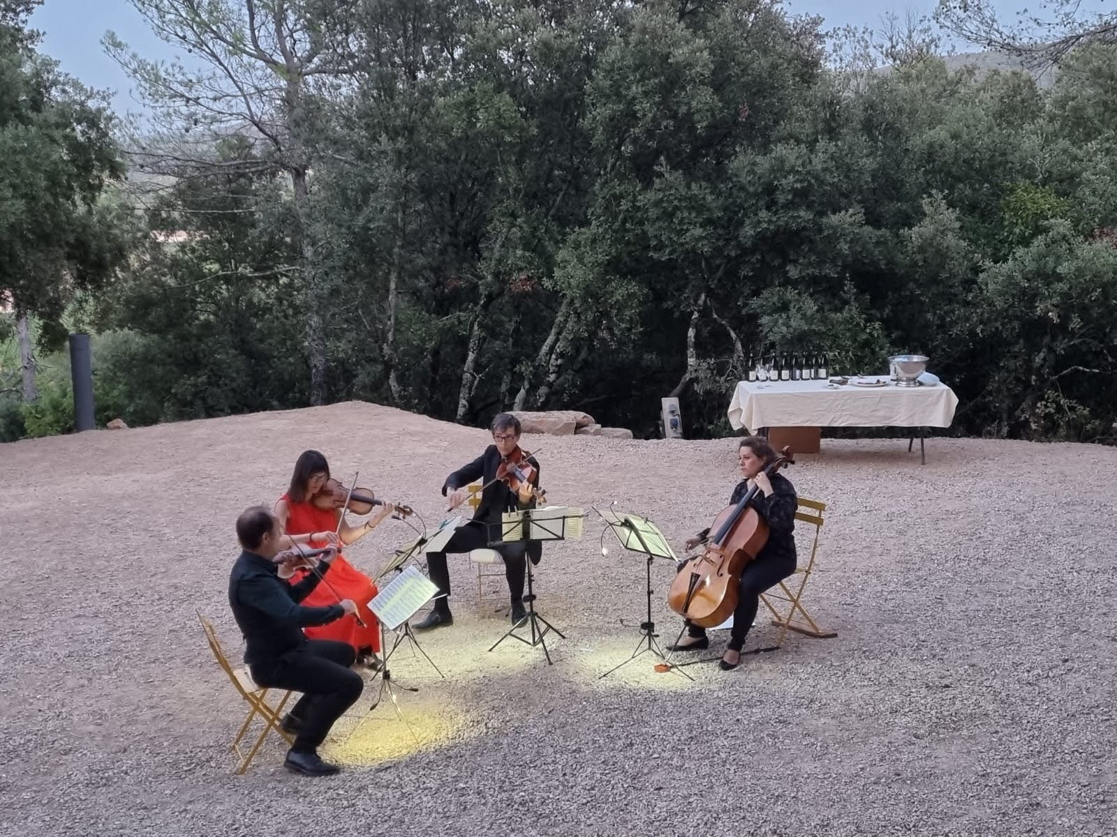 Concert au domaine des Terres Promises à La Roquebrussanne