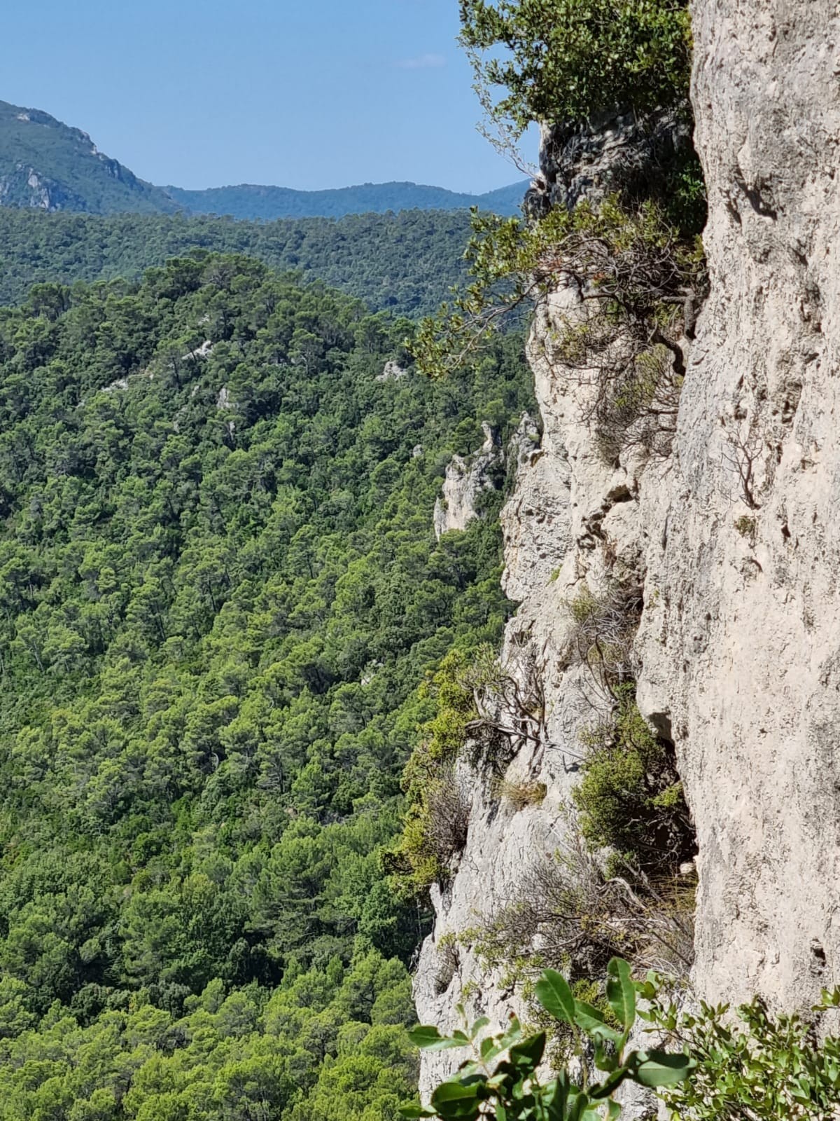 Source des Orris dans la montagne de la Loube à la Roquebrussanne