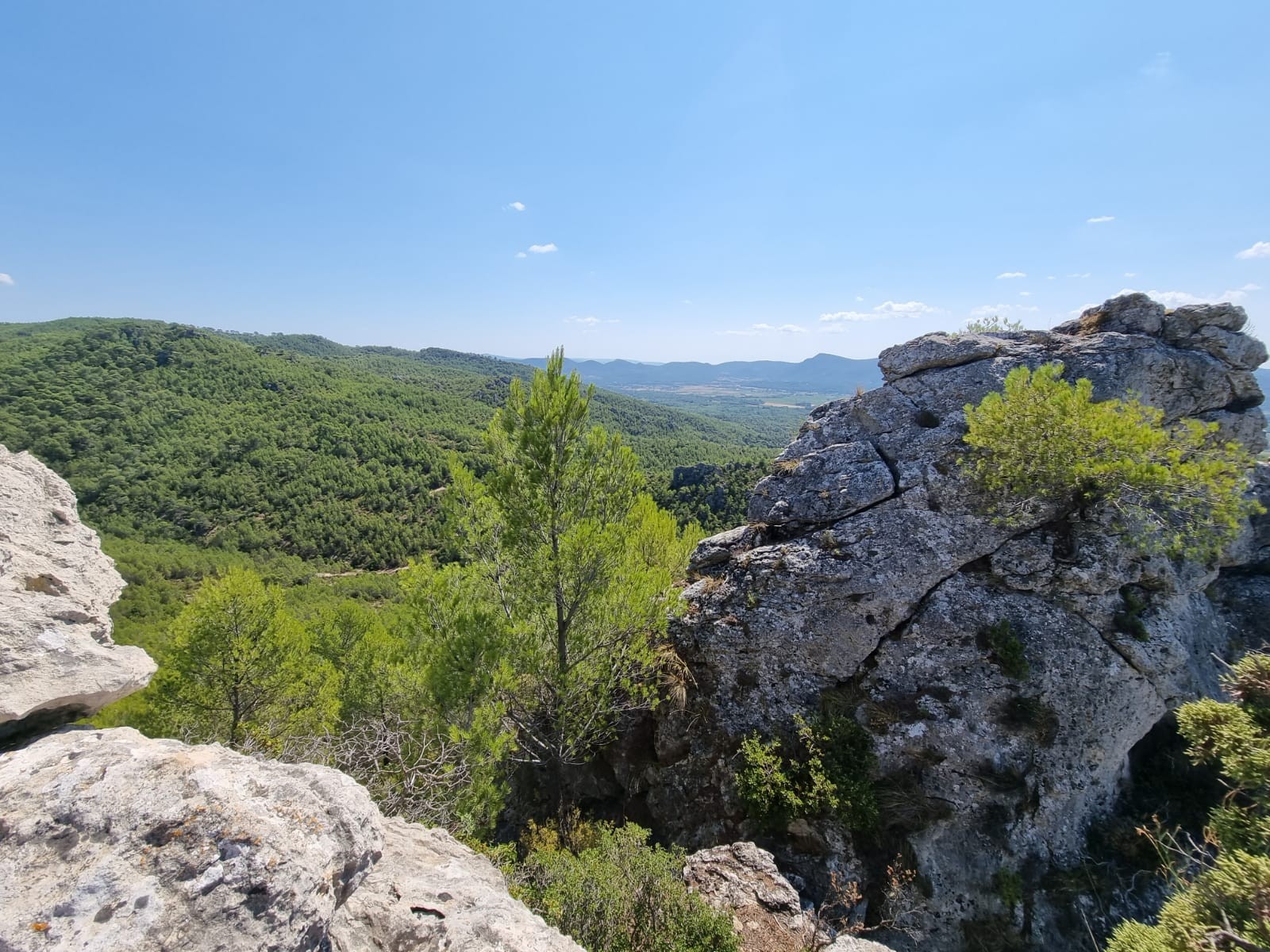 Vue sur la plaine de La Roquebrussanne depuis le sommet de la montagne de la Loube